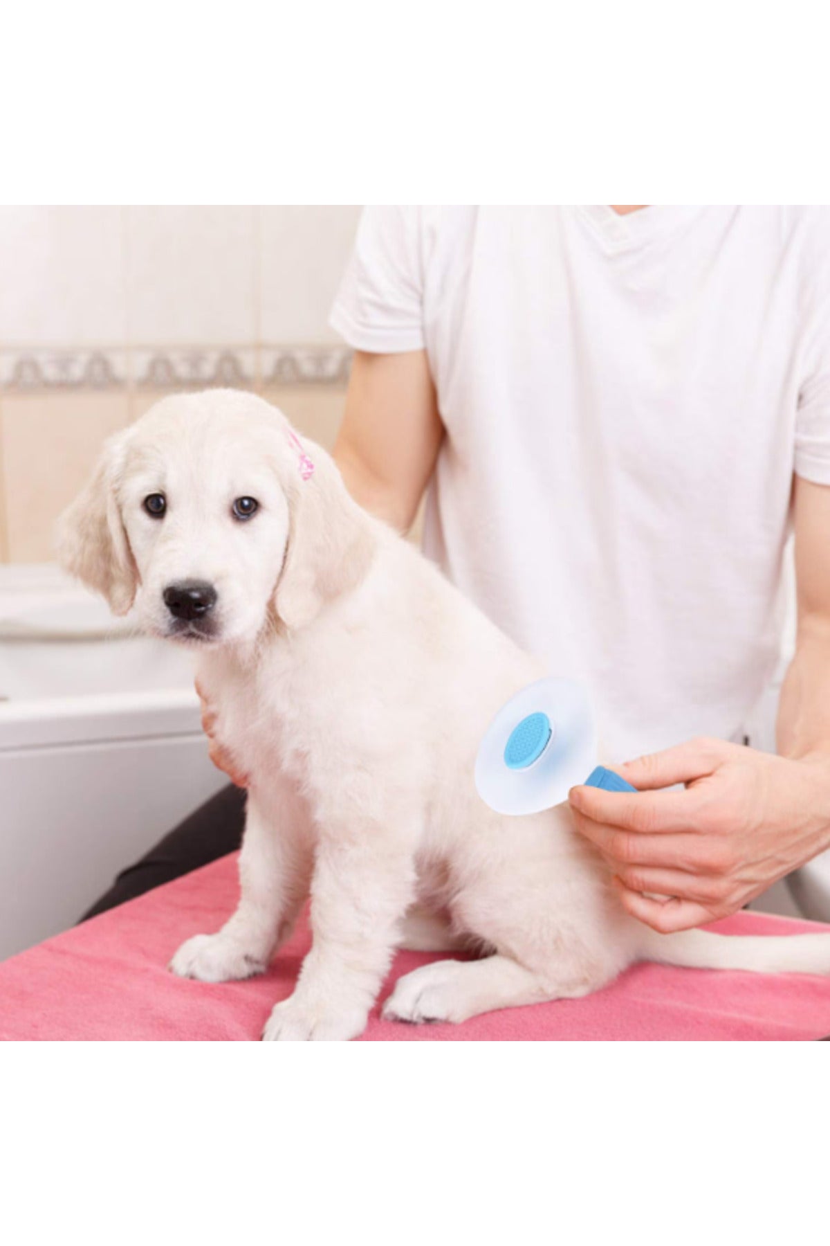 Self-Cleaning Brush for Animals, AT PERFORMANCE, Useful for Grooming and Hair Care, 20x10x6 cm, Cats