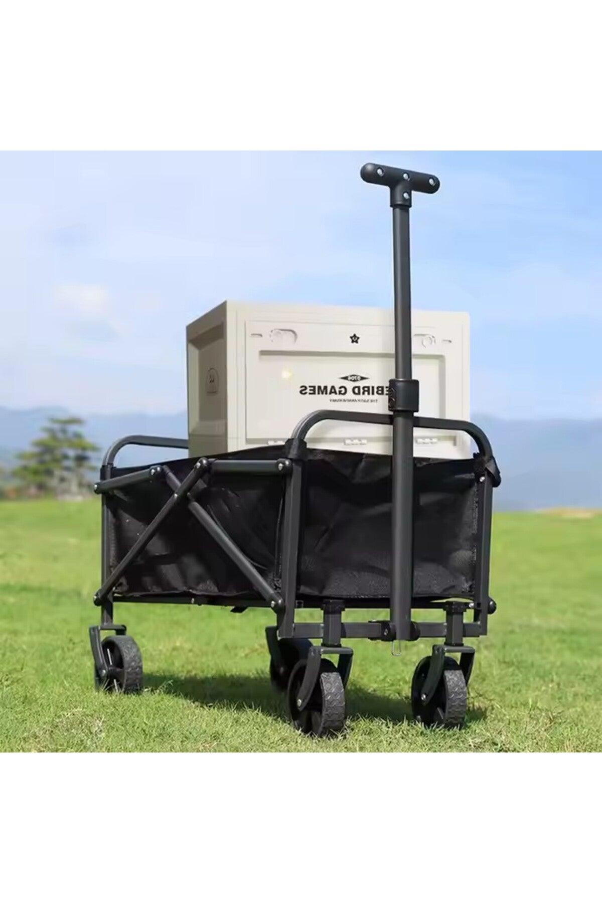 Folding Transport Cart